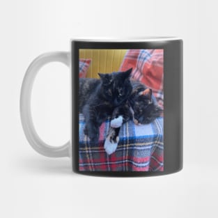 Sisterly Love - We all need a Hug, what better than a Cute Cat Cuddle! Mug